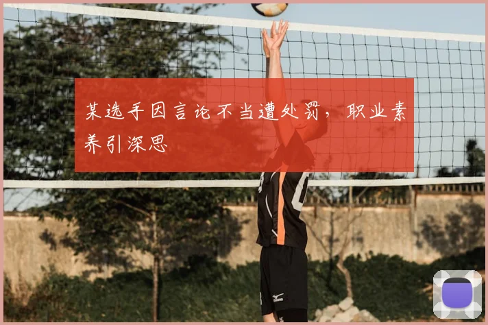 某选手因言论不当遭处罚，职业素养引深思