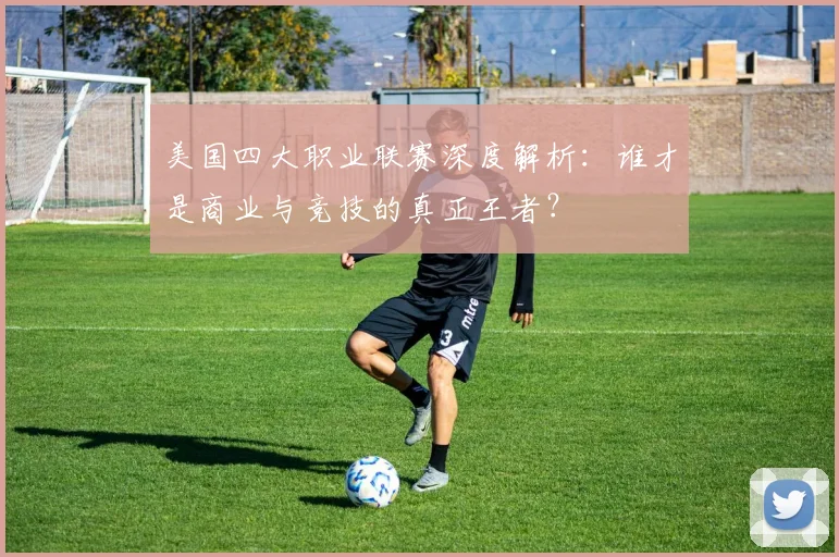 美国四大职业联赛深度解析：谁才是商业与竞技的真正王者？