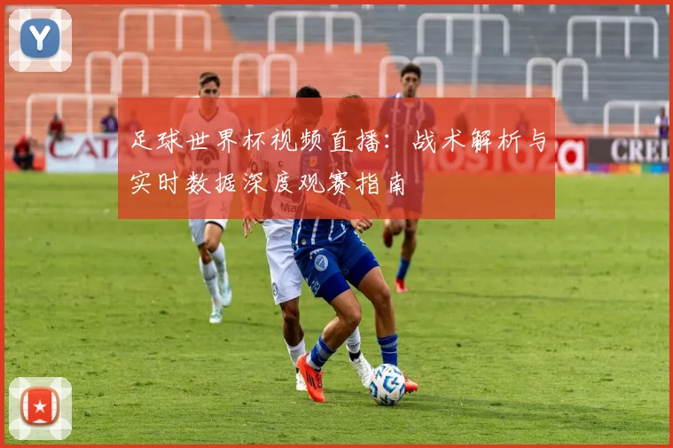 足球世界杯视频直播:战术解析与实时数据深度观赛指南