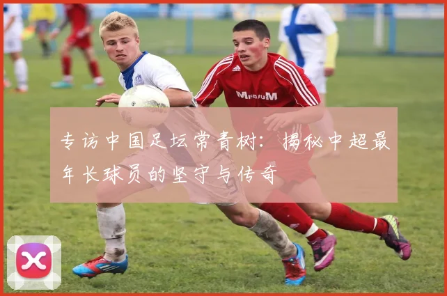 专访中国足坛常青树:揭秘中超最年长球员的坚守与传奇